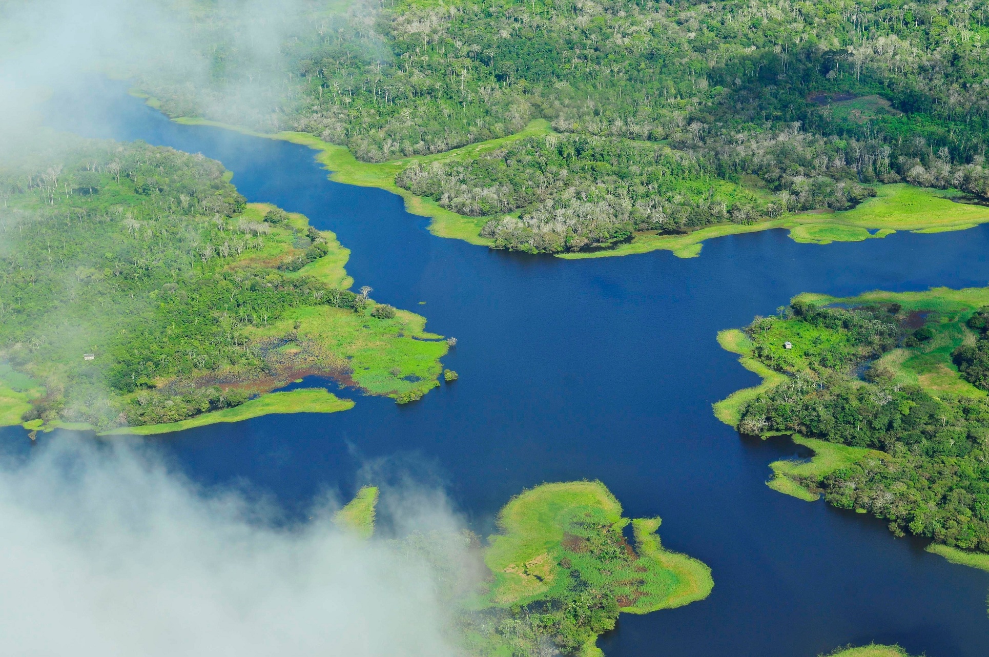Neil Palmer/CIFOR Metas brasileiras de redução das emissões estão focadas no fim do desmatamento ilegal em todos os biomas, na restauração e reflorestamento, na adoção da taxa de reflorestamento, na agricultura de baixo carbono, na ampliação das fontes renováveis de energia e na eficiência energética