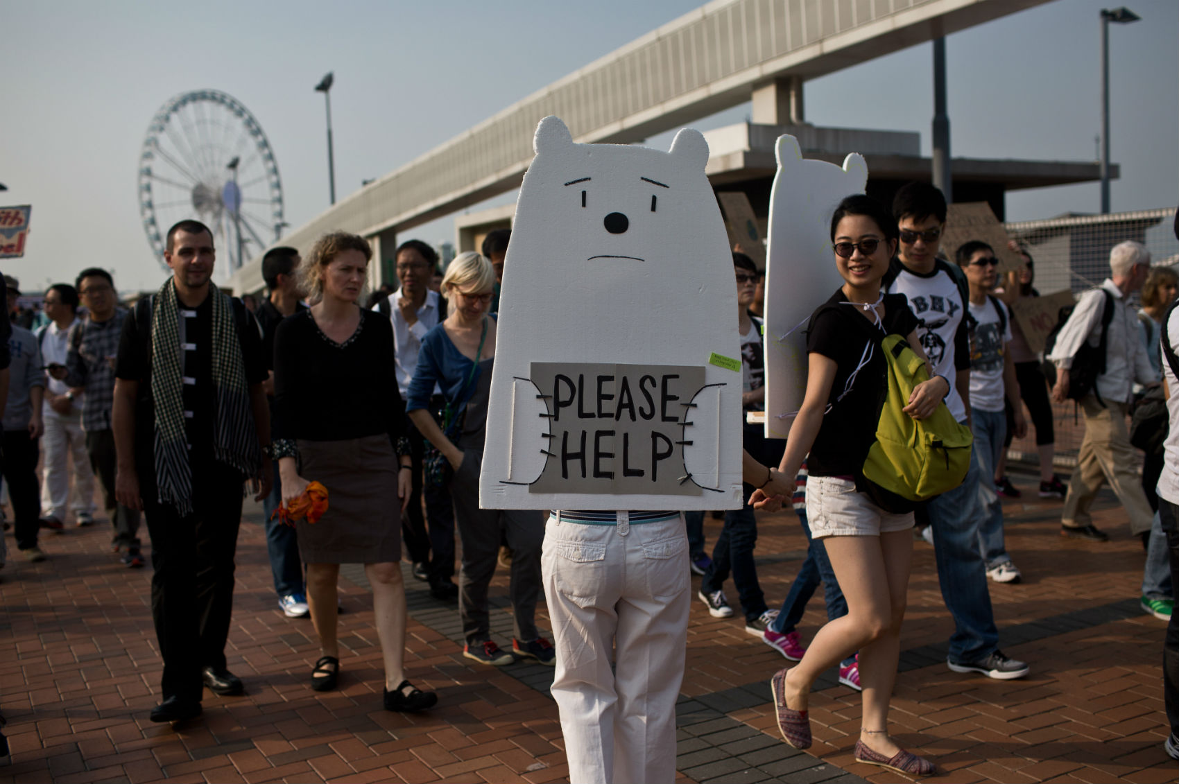 ovens carregam placas de urso polar em Hong Kong