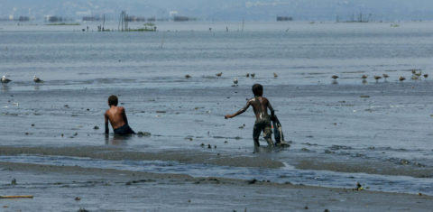Na praia de Ipiranga, em Magé, no Rio de Janeiro, um dos muitos exemplos de não podemos mais perder tempo com debates sem fundamento. É hora de agir. Foto de Custódio Coimbra