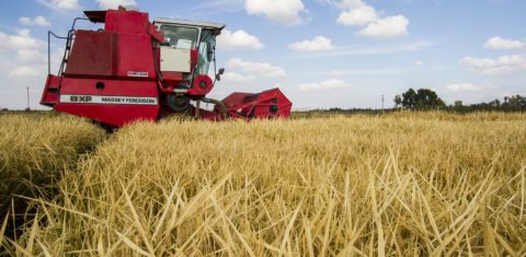 A dependência das commodities agrícolas, como a soja, é um das principais razões do despreparo da América Latina para um crescimento de longo prazo
