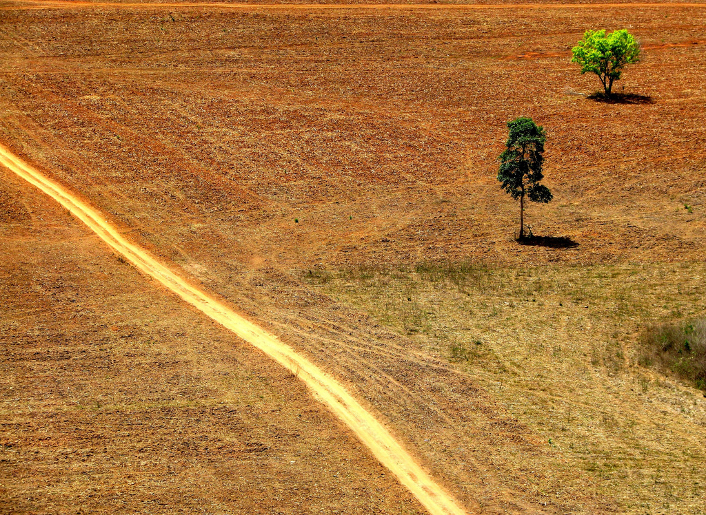 Área desmatada na Amazônia