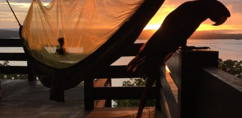 Parque Nacional da Amazônia, no Pará