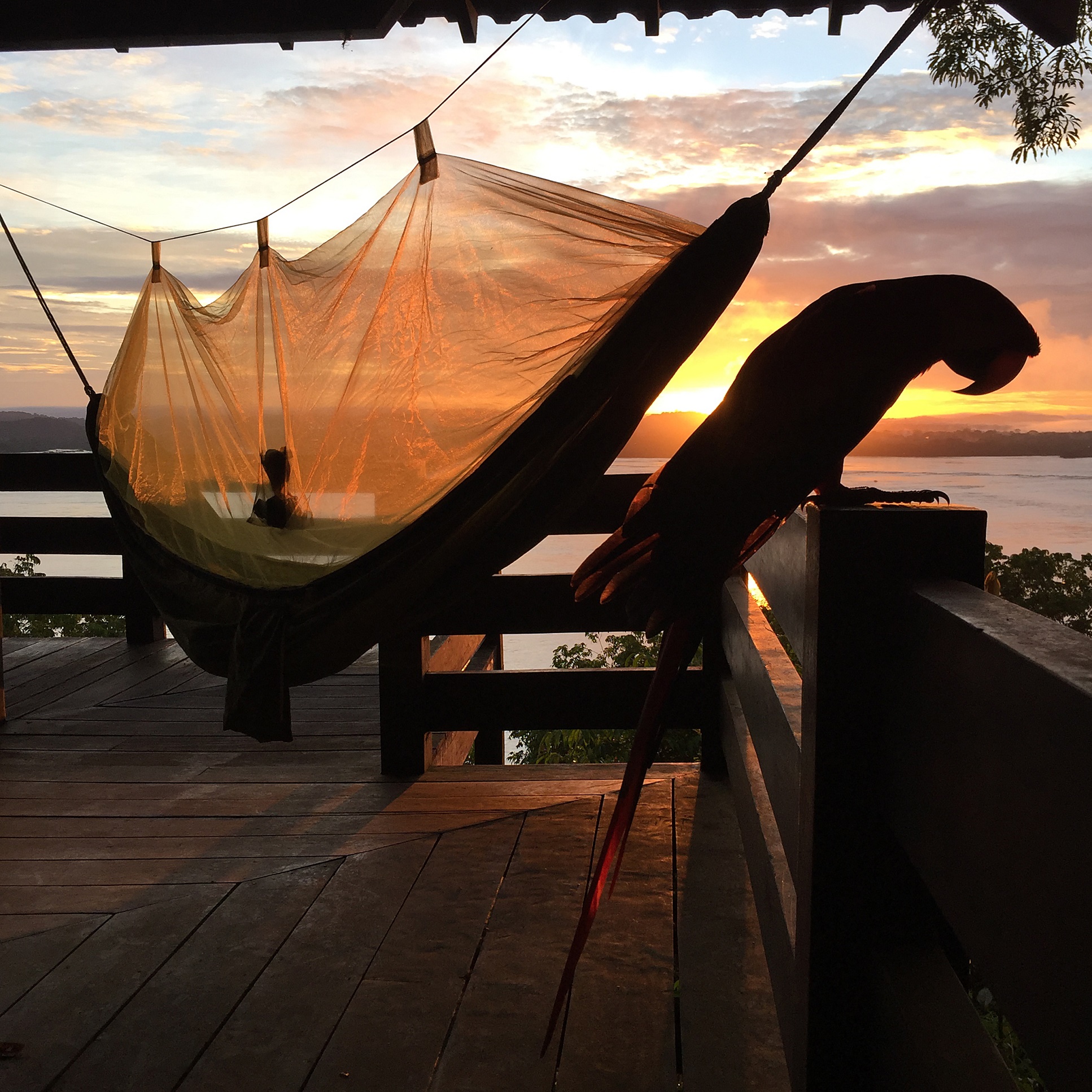 Parque Nacional da Amazônia