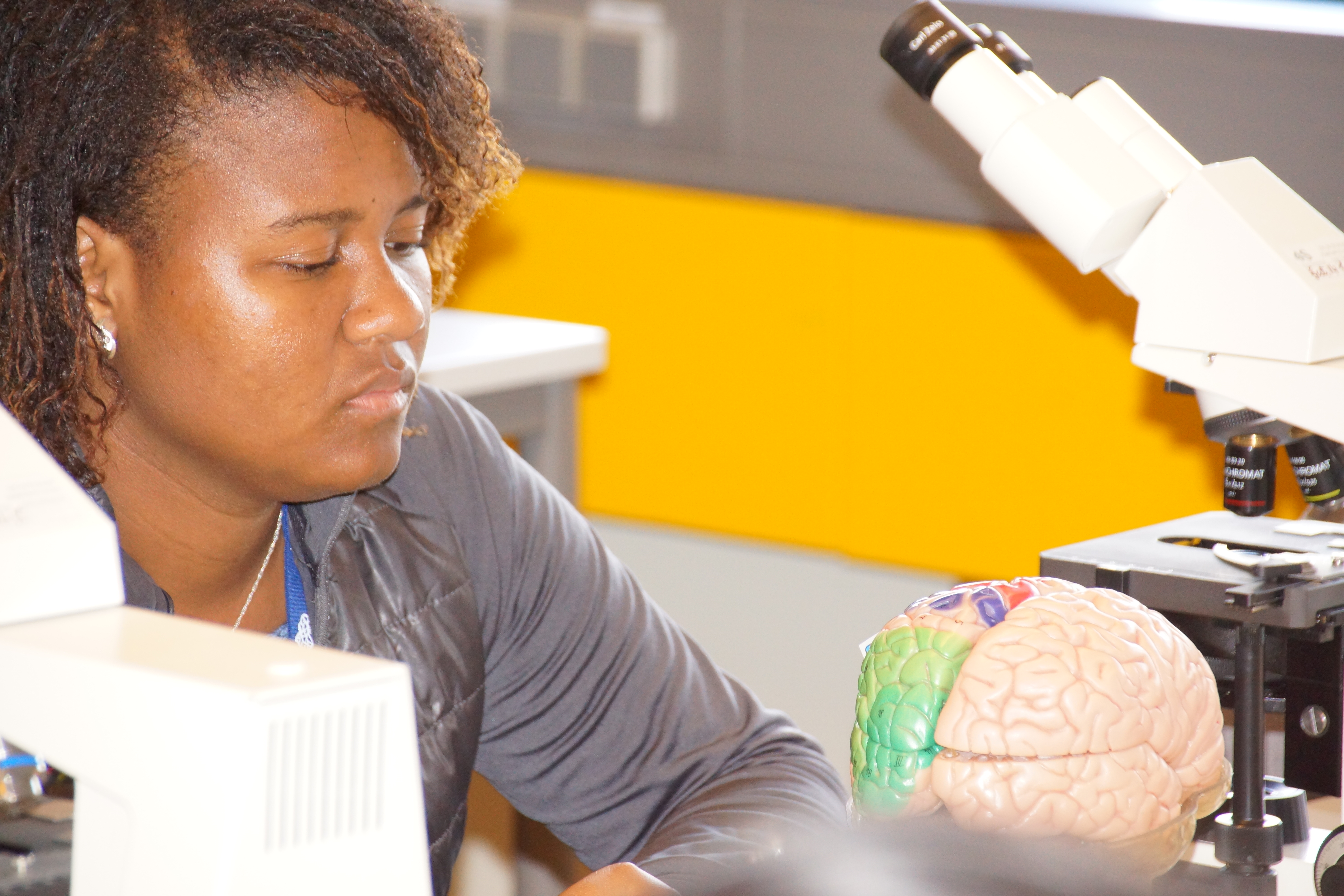 Lorrayne participa da prova de neuroanatomia na competição na Dinamarca