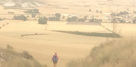 A "Meseta" é crítica. Longas retas, sem sombra alguma, e com um sol de 40 e muitos graus para cada peregrino no verão. Uma paisagem apenas de trigo e cevada