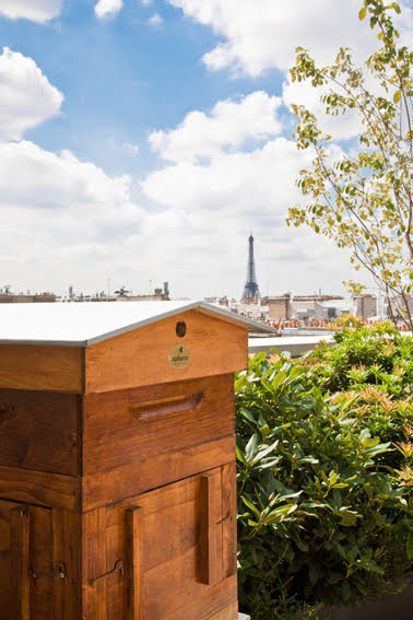 Apiário do Mandarin Oriental, com vista privilegiada: mel para pratos e drinques