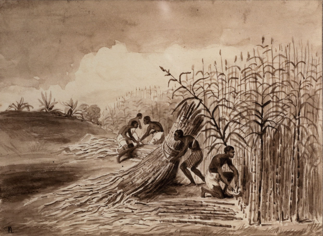 Reprodução de gravura. Por Manuel Cohen/MCohen/AFP Reprodução de gravura com escravos em plantio de cana de açúcar