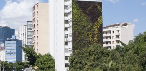O primeiro corredor verde do Brasil está sendo construído justamente no Minhocão, no centro da capital paulistana. Foto Movimento 90º