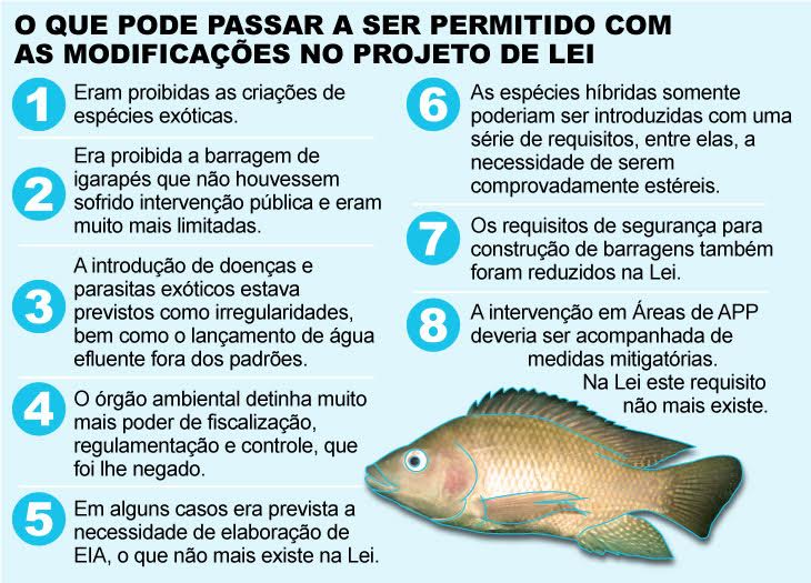 Infografia sobre os efeitos do projeto de lei aprovado para a bacia amazônica