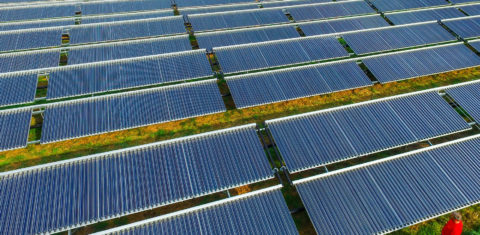 Parque solar/ Foto de Patrick Pleul/ DPA/ AFP