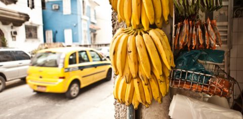 A foto com as bananas também foi ideia do pessoal do marketing. Foto JAG IMAGES / Cultura Creative