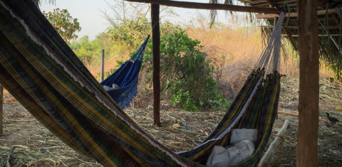 Terra Indígena Arariboia, Maranhão. Foto de Marizilda Cruppe