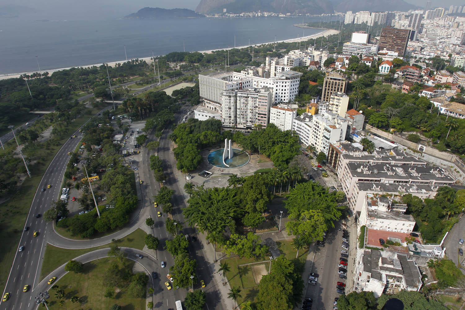 No final dos anos 1980 foram contabilizadas 12 mil árvores. Nos anos 2000, eram cerca de 10.500. Atualmente são exatas 9.930 árvores. Foto de Custódio Coimbra