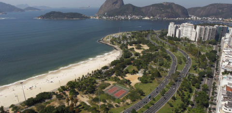 Das 9.930 árvores espalhadas por uma área de mais de um milhão de metros quadrados, 1.162 (ou 11,7%) são exóticas invasoras. Foto de Custódio Coimbra