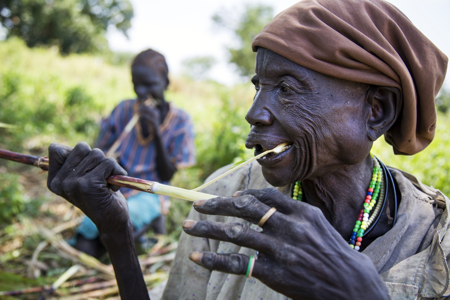 Foto de Albert Gonzalez Farran/AFP Cerca de um bilhão de pessoas passam fome hoje no mundo. A situação é mais grave na Índia e na África Subsaariana. Foto de Albert Gonzalez Farran/AFP