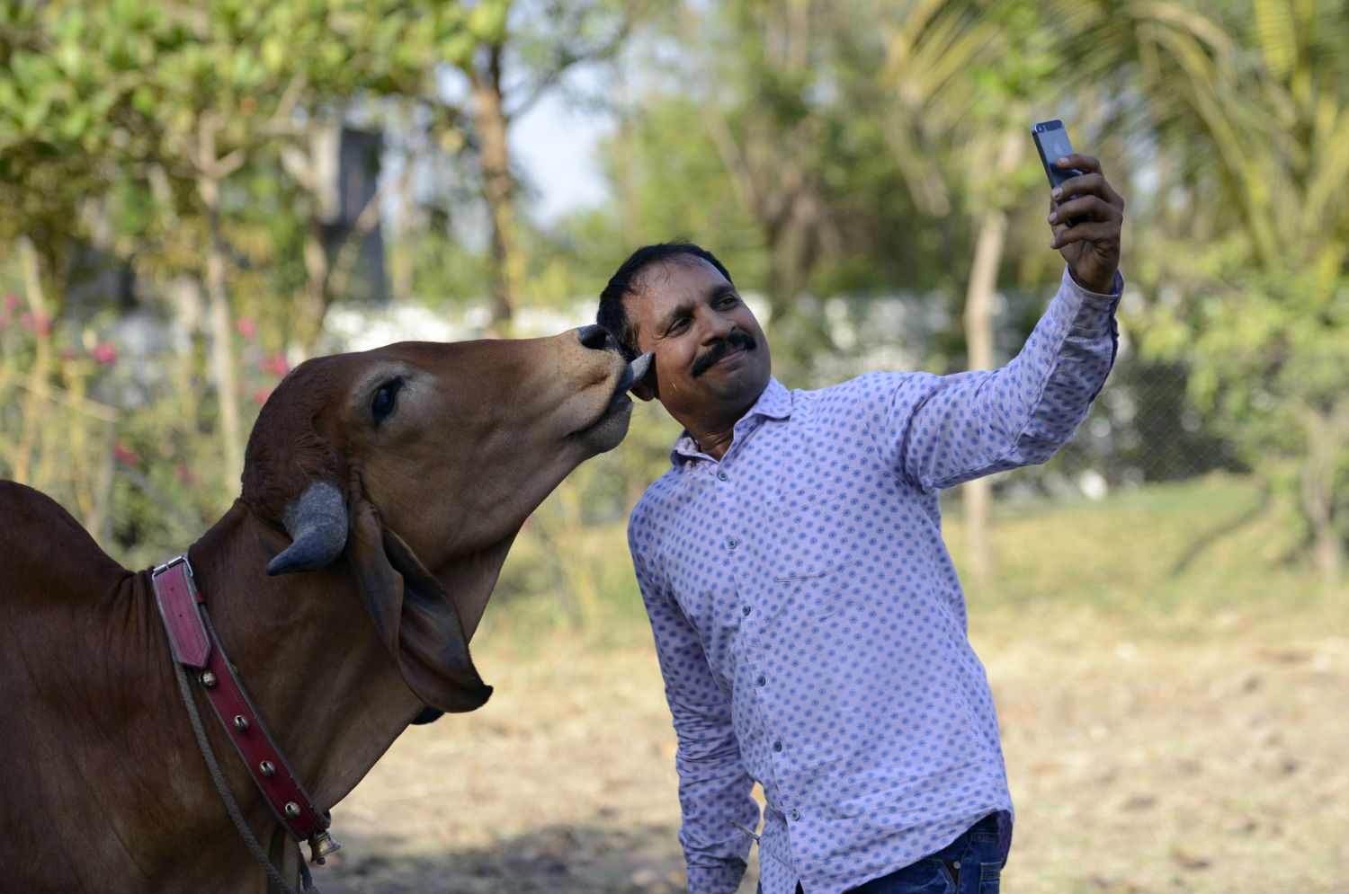 Um selfie à indiana: país cresceu com o investimento no digital (Foto Sam Panthaky / AFP)