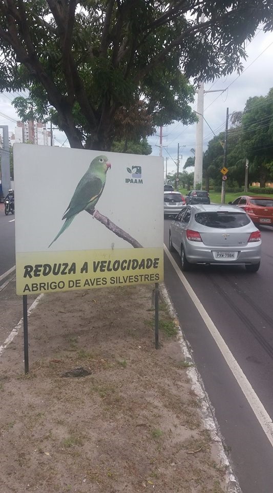 Foto Rogério Gribel Placa alertando os motoristas não tem surtido muito efeito. Foto Rogério Gribel