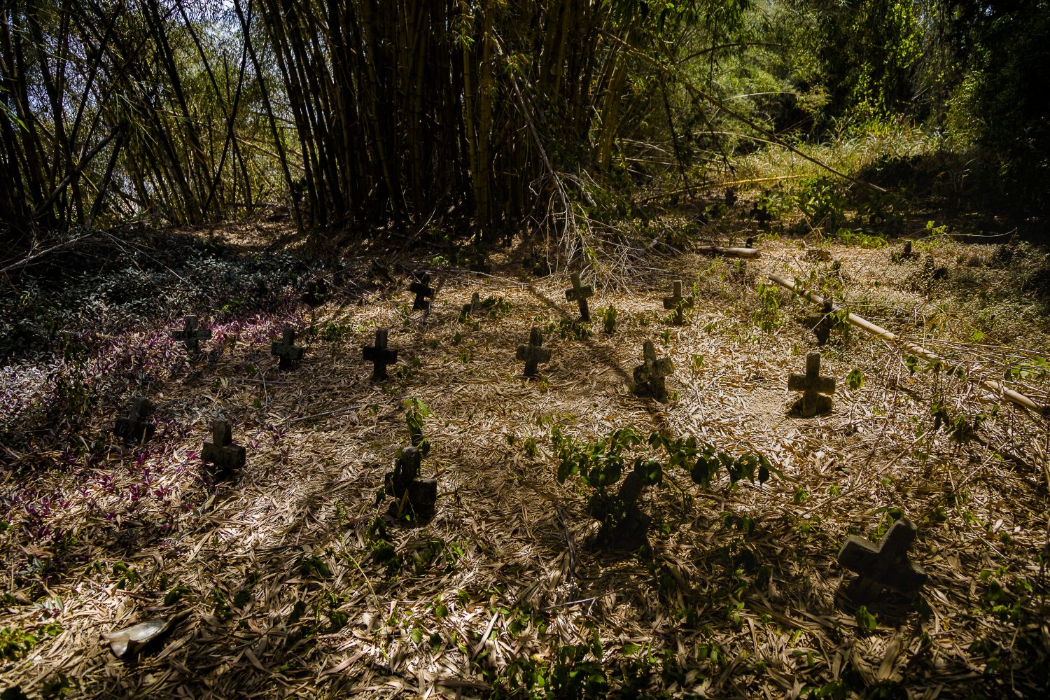 Foto de Márcio Menasce Cemitério dos Ajinhos. Foto de Márcio Menasce