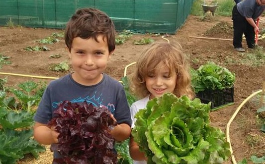 Mãozinhas na terra: As crianças aprendem a lidar com a plantação, a valorizar a natureza e a diversificar o cardápio (Foto Rosane Monteiro)
