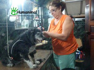 Foto de Divulgação Humanimal participa de Caominhada com crianças especiais em S. Bernardo de Campo. Foto de Divulgacao