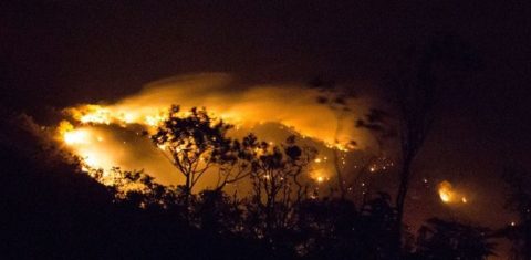 A falta de chuva, os ventos fortes e a alta temperatura, em torno de 37º C, contribuem para a expansão das chamas. Foto ICMBio
