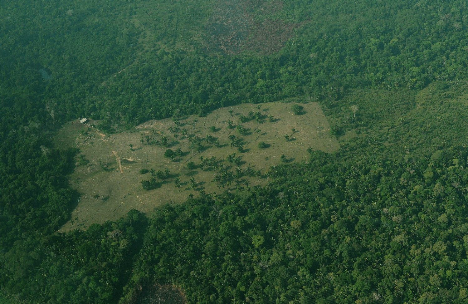 Vista área de um região desmatada na Amazônia. Foto Carl de Souza/AFP