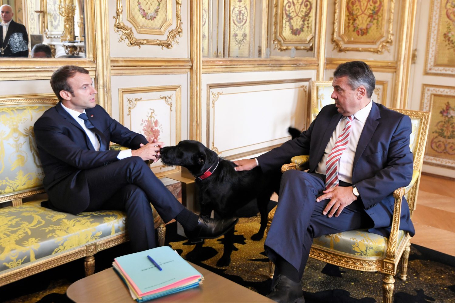 Foto: Alain Jocard/ AFP O cachorro Nemo participa de uma reunião com o presidente da França, Emmanuel Macron. Foto: Alain Jocard/ AFP