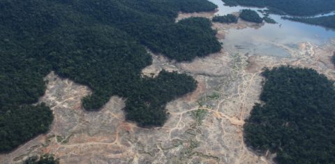 Área desmatada na Amazônia próxima ao Parque Nacional de Juruena. Foto Isaac Risco-Rodriguez/DPA