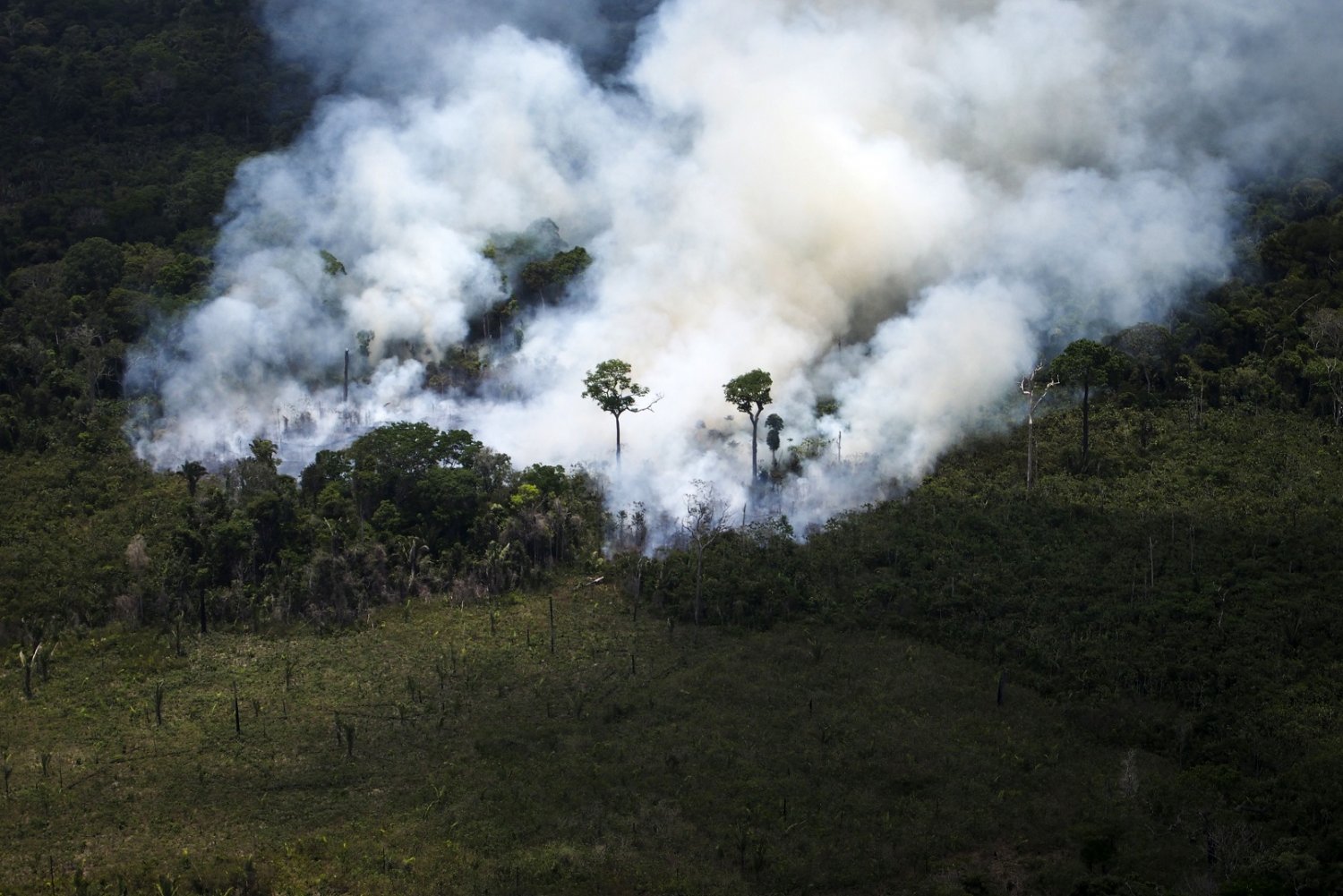 Foto Raphael Alves/AFP Área de exploração ilegal de madeira na Amazônia flagrada por uma operação do Greenpeace. Foto Raphael Alves/AFP