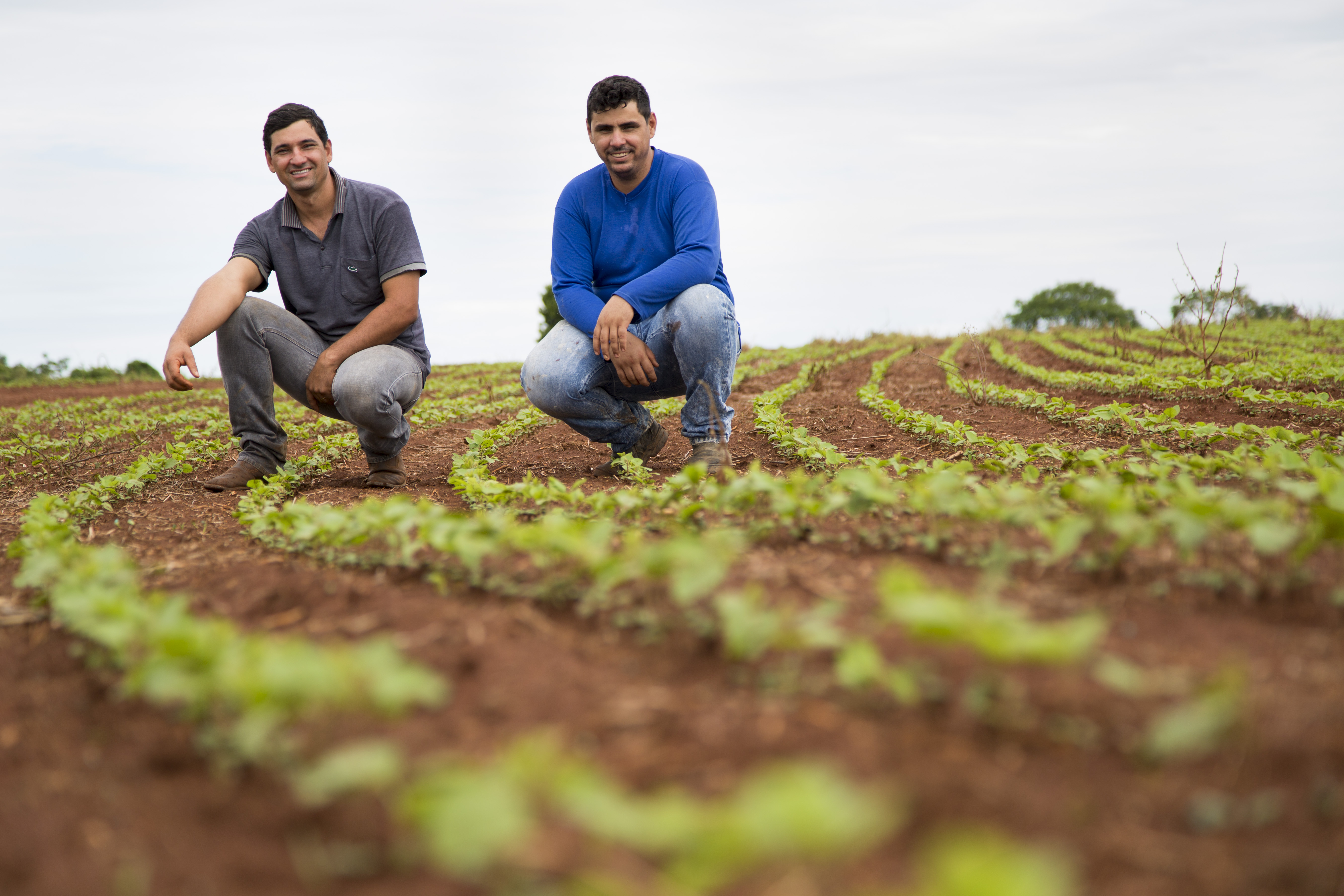 Foto de Simone Marinho Os irmaos Flavio (de blusa azul de manga comprida) e Rafael que representam a segunda geracao da familia Vaz, produtores de soja em Ipameri. Foto de Simone Marinho