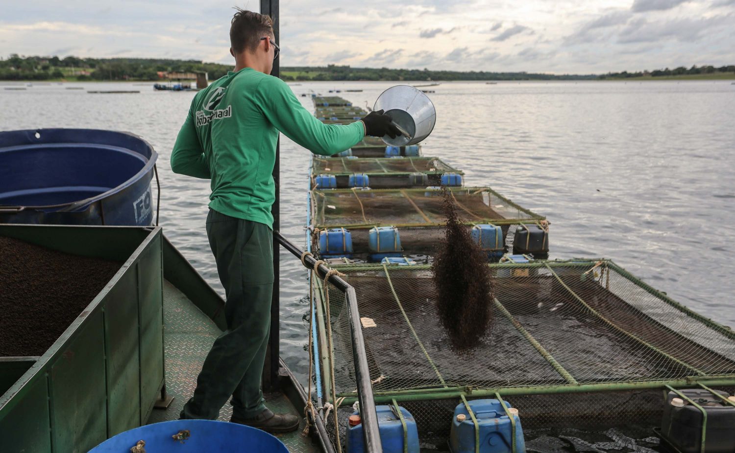 Funcionário alimenta peixes: o controle da distribuição da ração é fator para proteger ambiente (Foto: Fernando Maia)