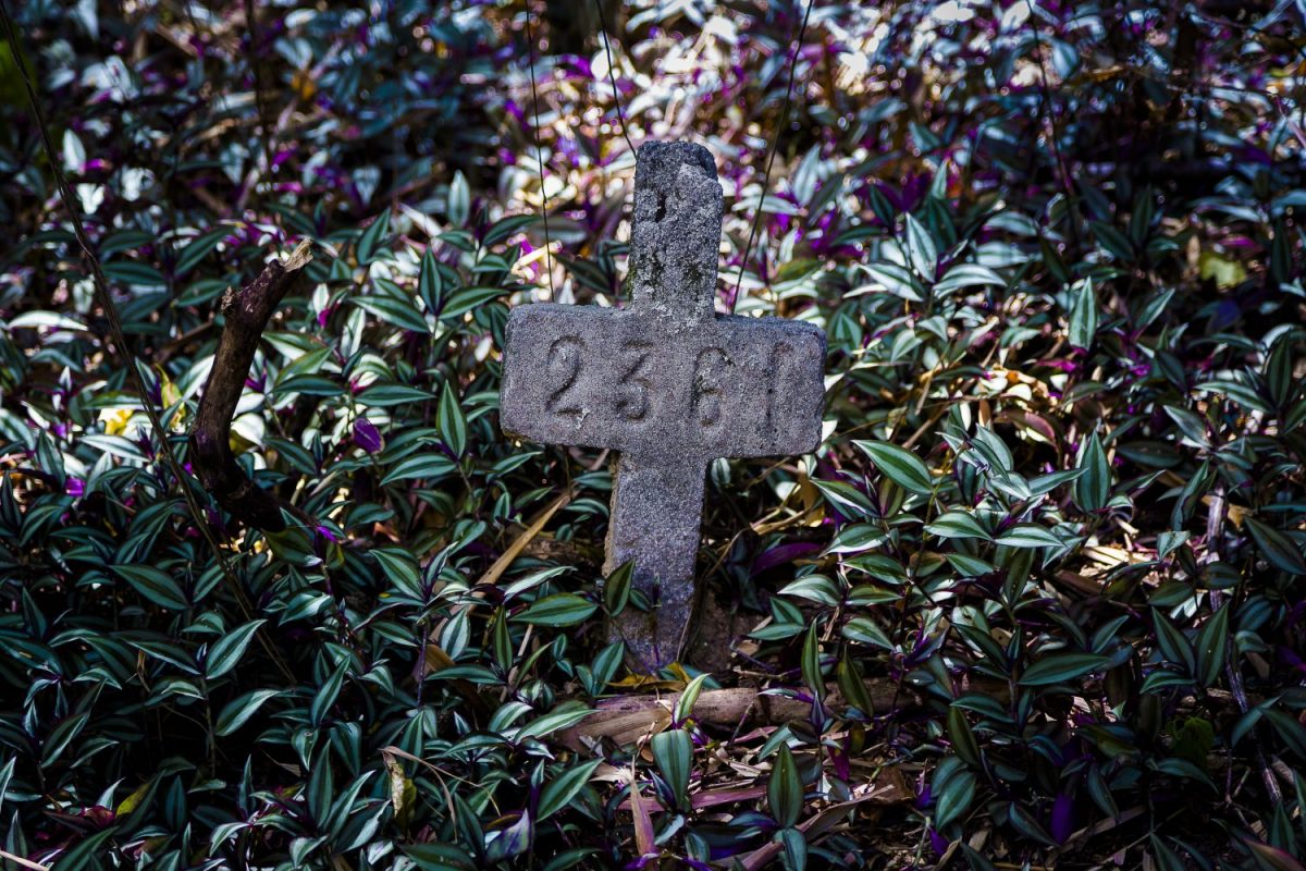 Cruz indica uma das covas rasas de crianças que não tiveram funeral/ Foto: Márcio Menasce