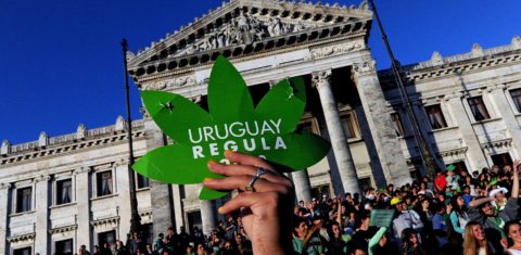 People take part in a demo for the legalization of marijuana in front of the Legislative Palace in Montevideo, on December 10, 2013, as the Senate discusses a law on the legalization of marijuana's cultivation and consumption. Uruguays parliament is to vote Tuesday a project that would make the country the first to legalize marijuana, an experiment that seeks to confront drug trafficking. The initiative launched by 78-year-old Uruguayan President Jose Mujica, a former revolutionary leader, would enable the production, distribution and sale of cannabis, self-cultivation and consumer clubs, all under state control. AFP PHOTO/ Pablo PORCIUNCULA / AFP PHOTO / PABLO PORCIUNCULA