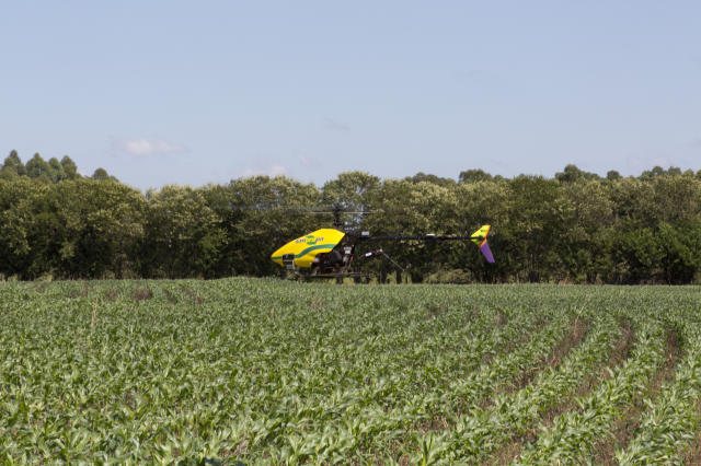 O uso de drones auxilia na captação de imagens que ajuda na análise do solo e da plantação. Foto: Embrapa