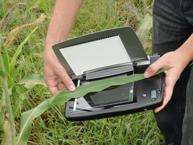 Softwares e programas de computação são utilizados nas análises das plantas. Foto: Embrapa