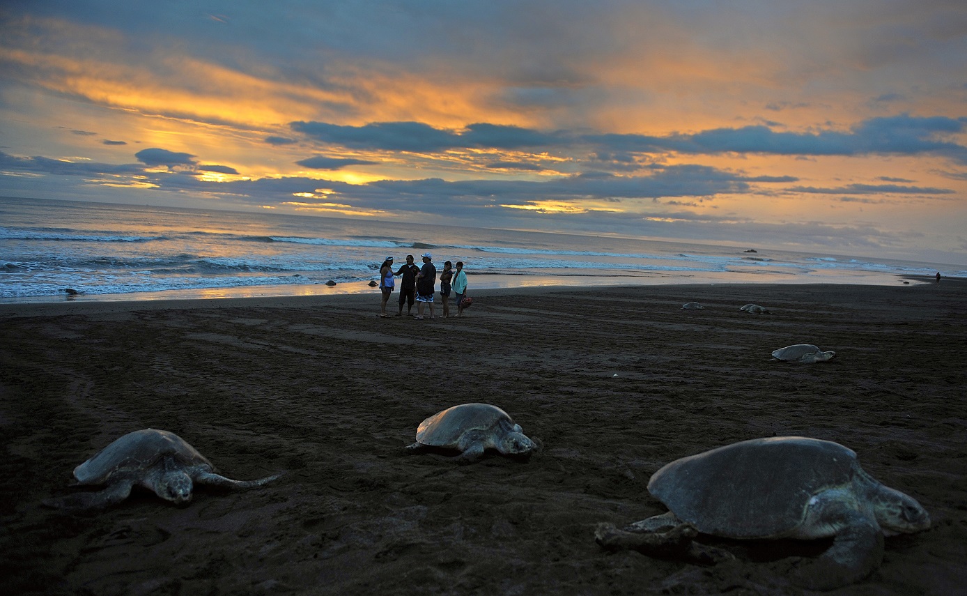 A praia de Ostional, um dos refúgios nacionalis de vida selvagem na Costa Rica. O país tem o melhor desempenho ambiental da América Latina. Foto Iuri Cortez