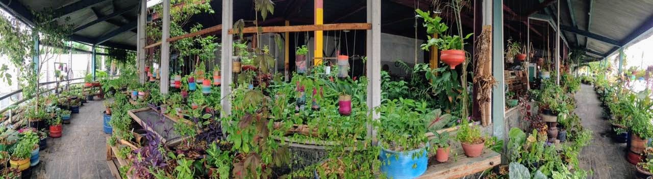 A horta na Fundição Progresso. Foto: Organicidade/ Divulgação