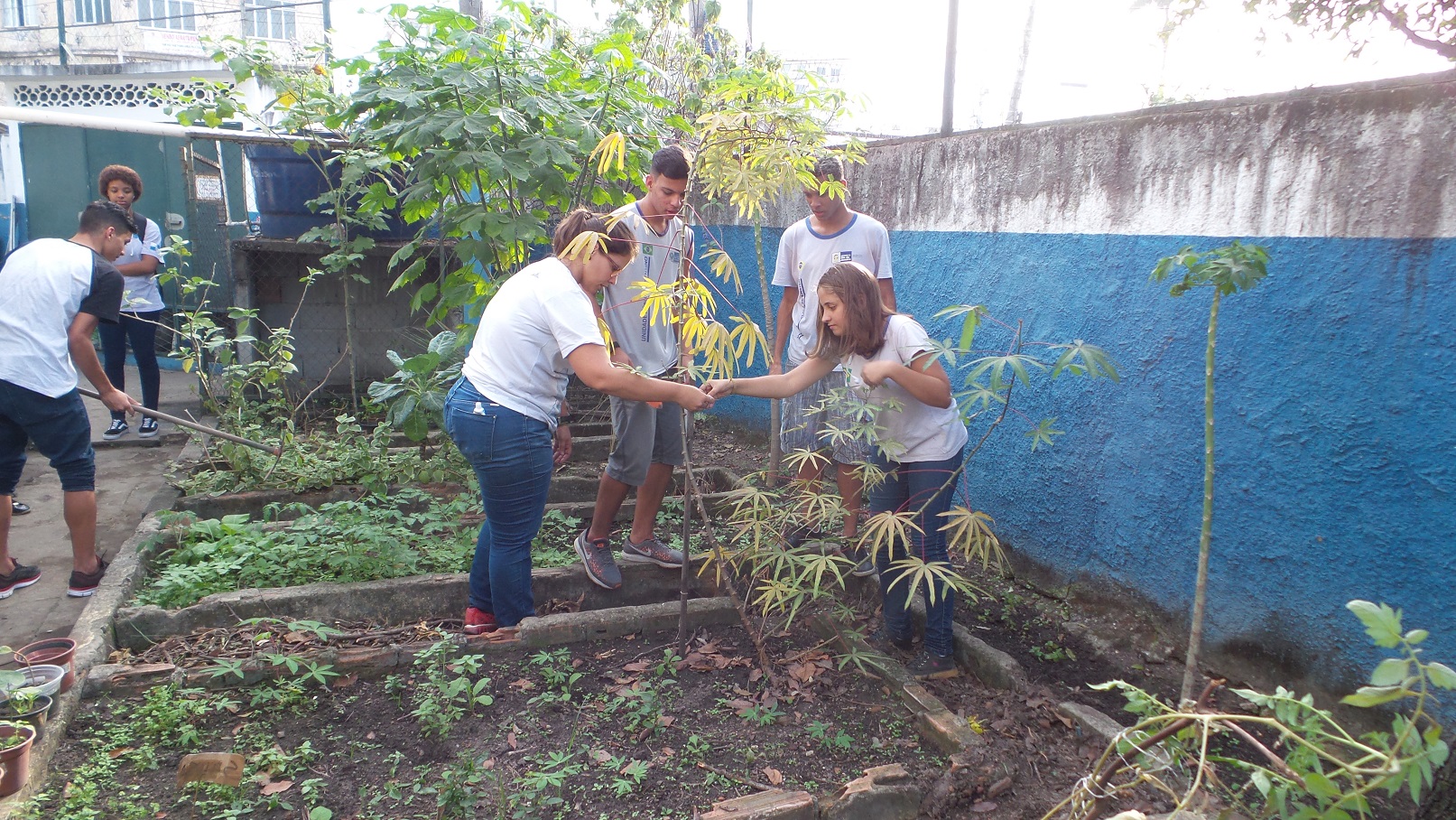 Foto Elizabeth Oliveira Alunos do Colégio Estadual Brigadeiro Schorcht, na Taquara, cuidam das verduras plantadas por eles. Foto Elizabeth Oliveira