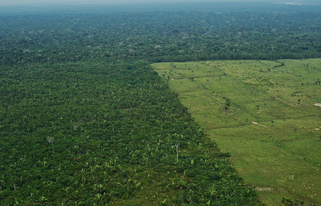 Imagem aérea de desmatamento na Amazônia. Foto Paula Ramon/AFP