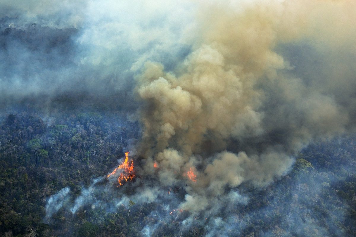 Foto Marizilda Cruppe/Greenpeace Dia do Meio Ambiente: Incêndios florestais na Amazônia, praga que se repete anualmente, estão em ritmo acelerado em 2019/2020 com aumento de grilagem e desmatamento (Foto Marizilda Cruppe/Greenpeace)