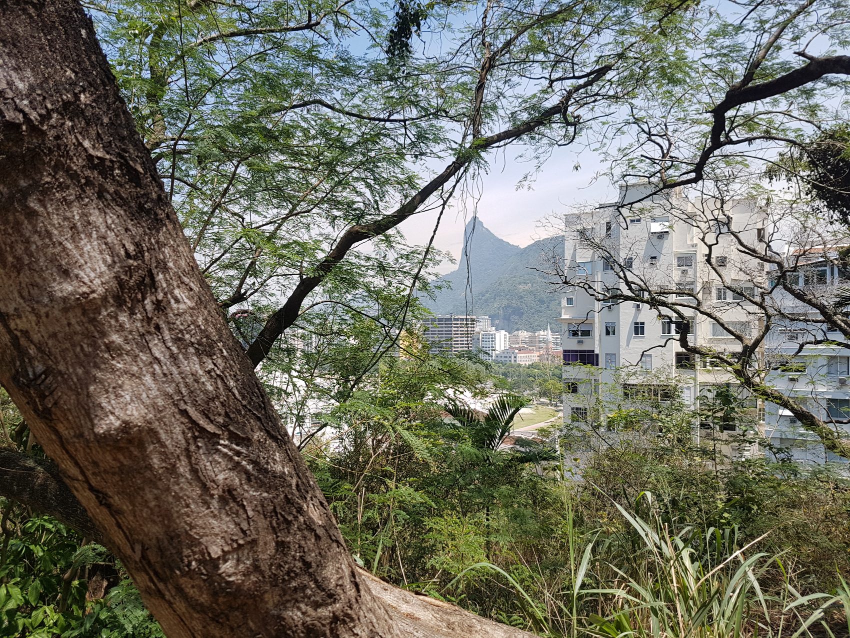 Vista do Morro da Viúva; cercado por 'cartões postais' (Foto Oscar Valporto)