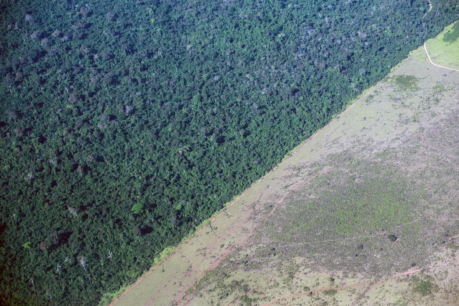Foto Yasuyoshi Chiba/AFP Área de desmatamento na Amazônia é interrompida às margens de uma reserva indígena no Pará. Foto Yasuyoshi Chiba/AFP