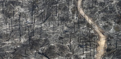 Destruição causada pela fogo na Amazônia: associação entre seca e queimadas causa impacto ainda maior no número de internações por doenças respiratórias (Foto Rodrigo Baleia/Greenpeace)A imagem da destruição causada pela fogo na Amazônia. Foto Rodrigo Baleia/Greenpeace