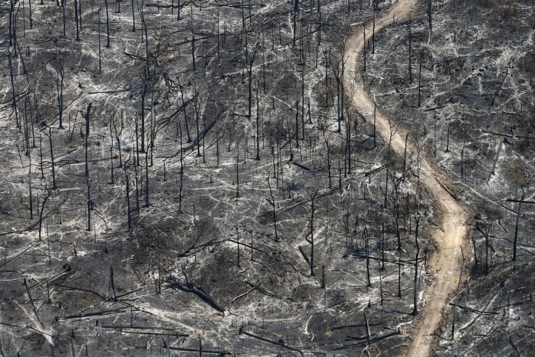 Destruição causada pela fogo na Amazônia: associação entre seca e queimadas causa impacto ainda maior no número de internações por doenças respiratórias (Foto Rodrigo Baleia/Greenpeace)A imagem da destruição causada pela fogo na Amazônia. Foto Rodrigo Baleia/Greenpeace