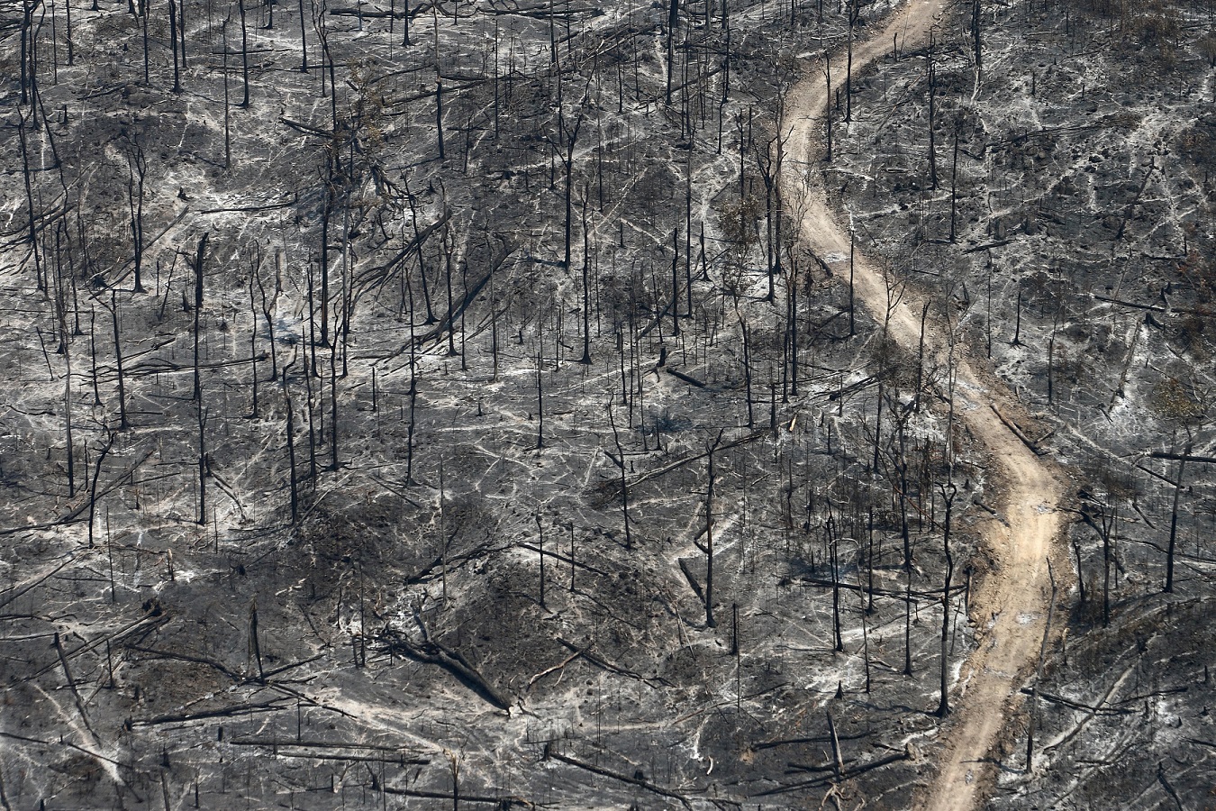 Foto Rodrigo Baleia/Greenpeace A imagem da destruição causada pela fogo na Amazônia. Foto Rodrigo Baleia/Greenpeace