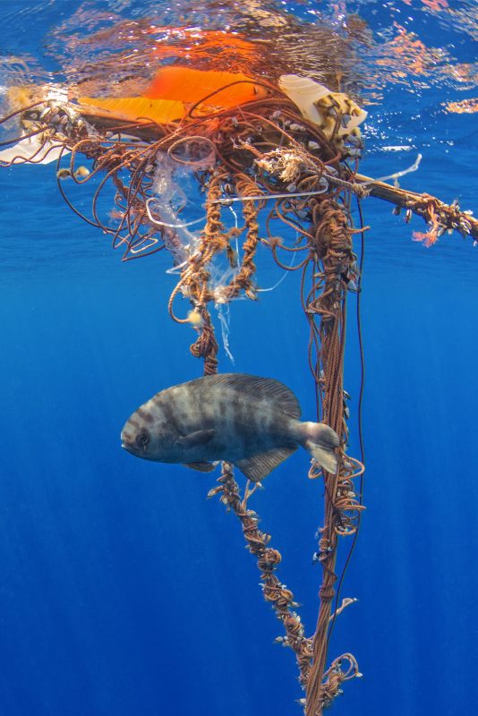 Foto Sérgio Hanquet/Fiosphoto A cada ano, oito milhões de toneladas métricas de plástico vão parar no mar e essa quantidade poderá aumentar em dez vezes se não forem adotadas novas práticas de consumo e reciclagem. Foto Sérgio Hanquet/Fiosphoto