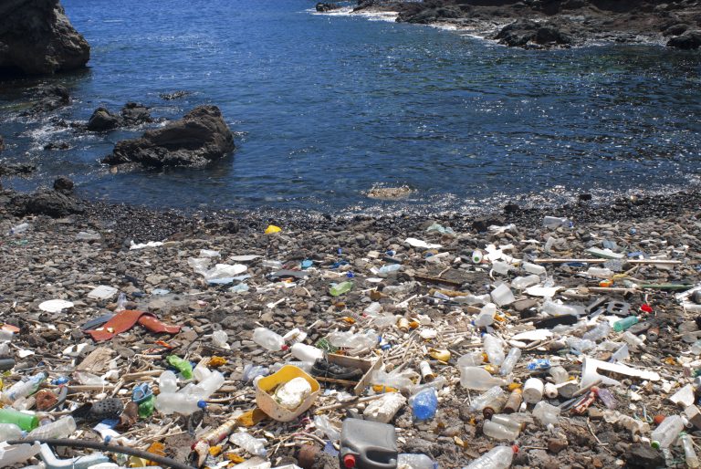 Denúncia de lixo no mar, não importa onde aconteça é problema (Sergio Hanquet/ Biosphoto/AFP)