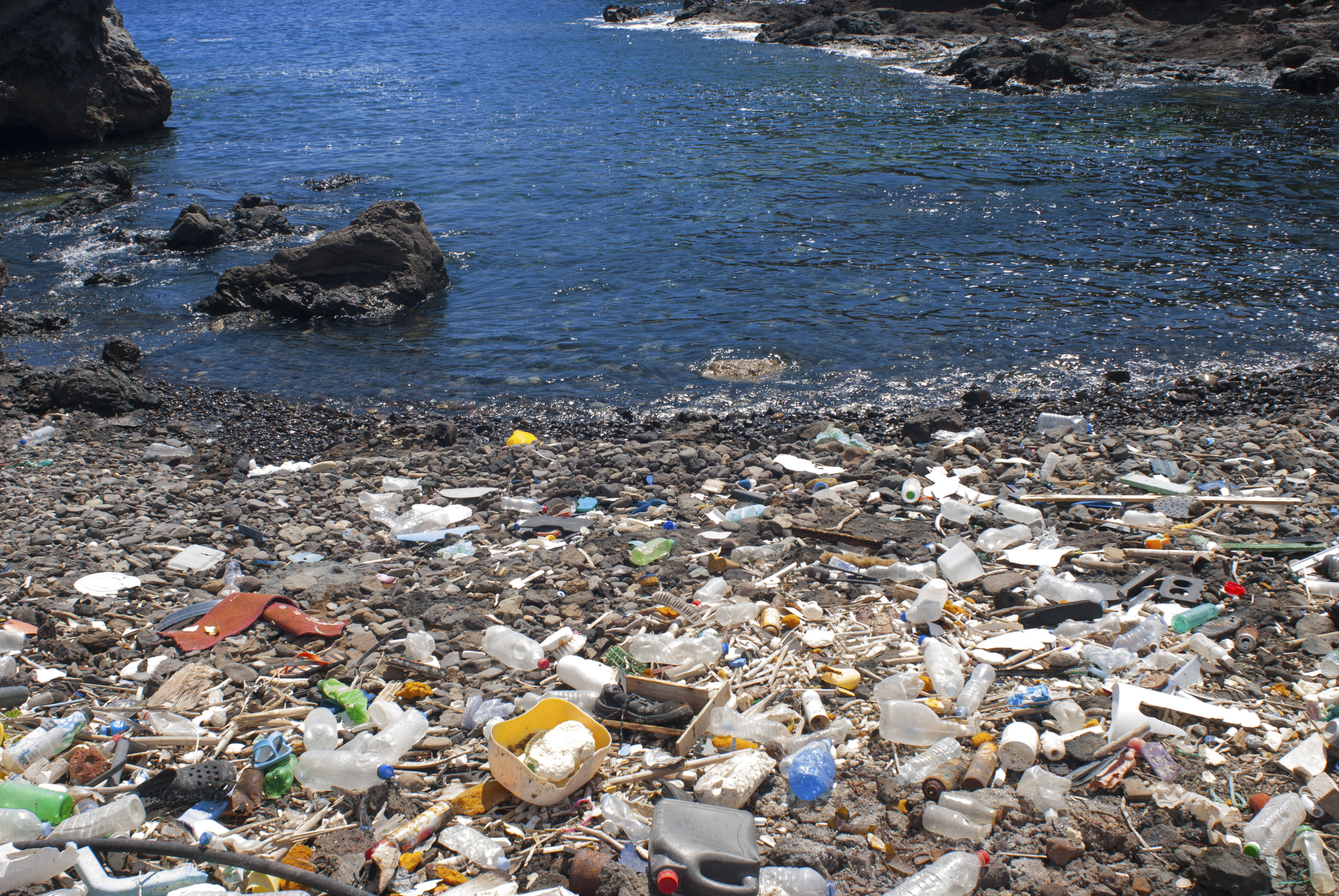 (Sergio Hanquet/ Biosphoto/AFP) Denúncia de lixo no mar, não importa onde aconteça é problema (Sergio Hanquet/ Biosphoto/AFP)