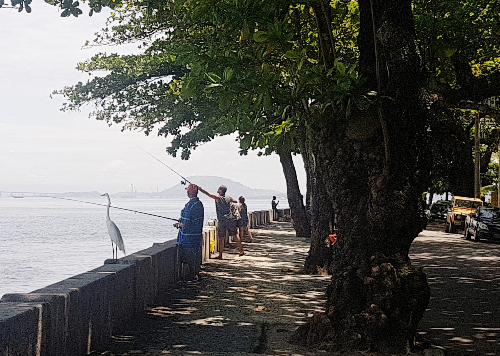 Os pescadores humanos e de penas na mureta (Foto Oscar Valporto)