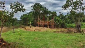 Foto de Divulgação Construcao do galpao na Aldeia do Mutum. Foto de Divulgacao